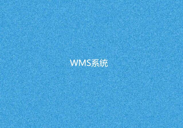 WMS系統(tǒng)培訓通常需要多長時間？