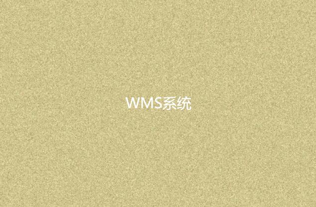 WMS系統(tǒng)適合小型企業(yè)嗎？